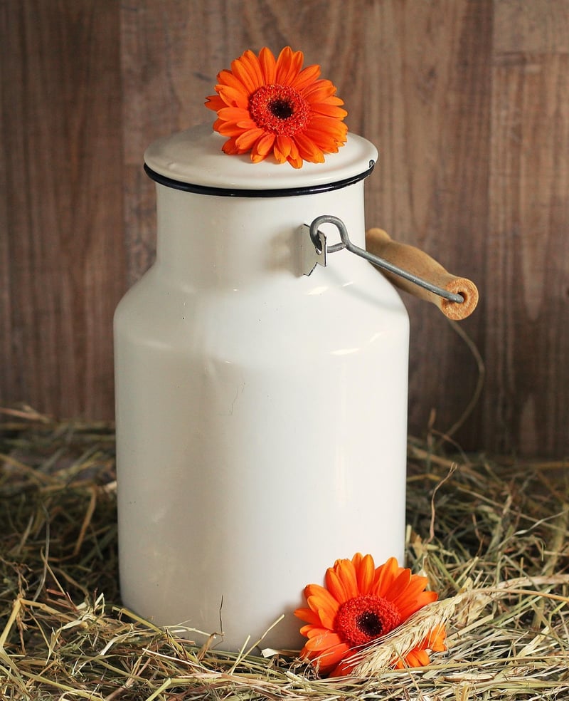 Plastic Bottle Crafts